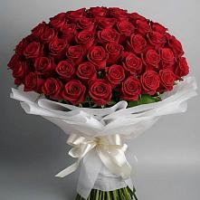 Букет 101 Красная роза Блэк Мэджик в Устье Вологодская область