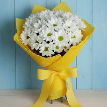 Букет цветов из:  Хризантемы #REPLACE_PRED# Устье Вологодская область