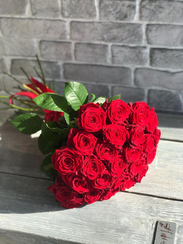 Букет Красные розы Фридом в Устье Вологодская область