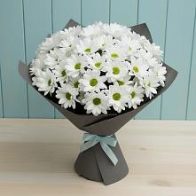 Букет цветов из:  Хризантемы в Устье Вологодская область