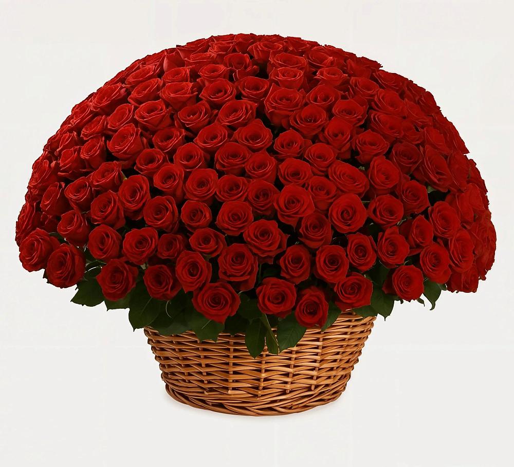 Премиум букет из: Розы в Устье Вологодская область