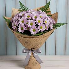 Букет цветов из:  Хризантемы в Устье Вологодская область