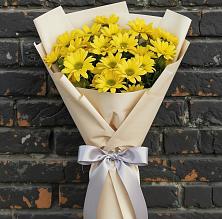 Букет цветов из:  Хризантемы в Устье Вологодская область
