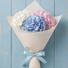 Букет цветов из:  Гортензия в Устье Вологодская область