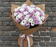 Букет цветов из:  Хризантемы в Устье Вологодская область