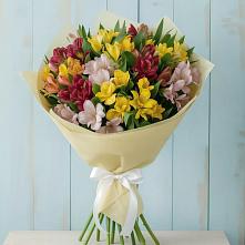 Букет цветов из:  Альстромерии #REPLACE_PRED# Устье Вологодская область