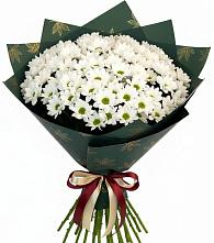 Букет цветов из:  Хризантемы в Устье Вологодская область