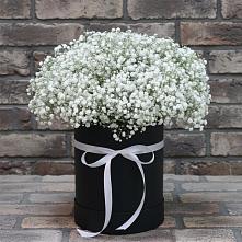 Цветочная композиция из Гипсофила в шляпной коробке #REPLACE_PRED# Устье Вологодская область