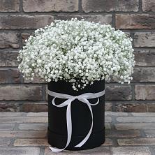 Цветочная композиция из Гипсофила в шляпной коробке в Устье Вологодская область