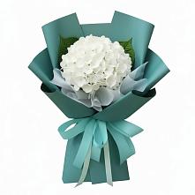 Букет цветов из:  Гортензия в Устье Вологодская область